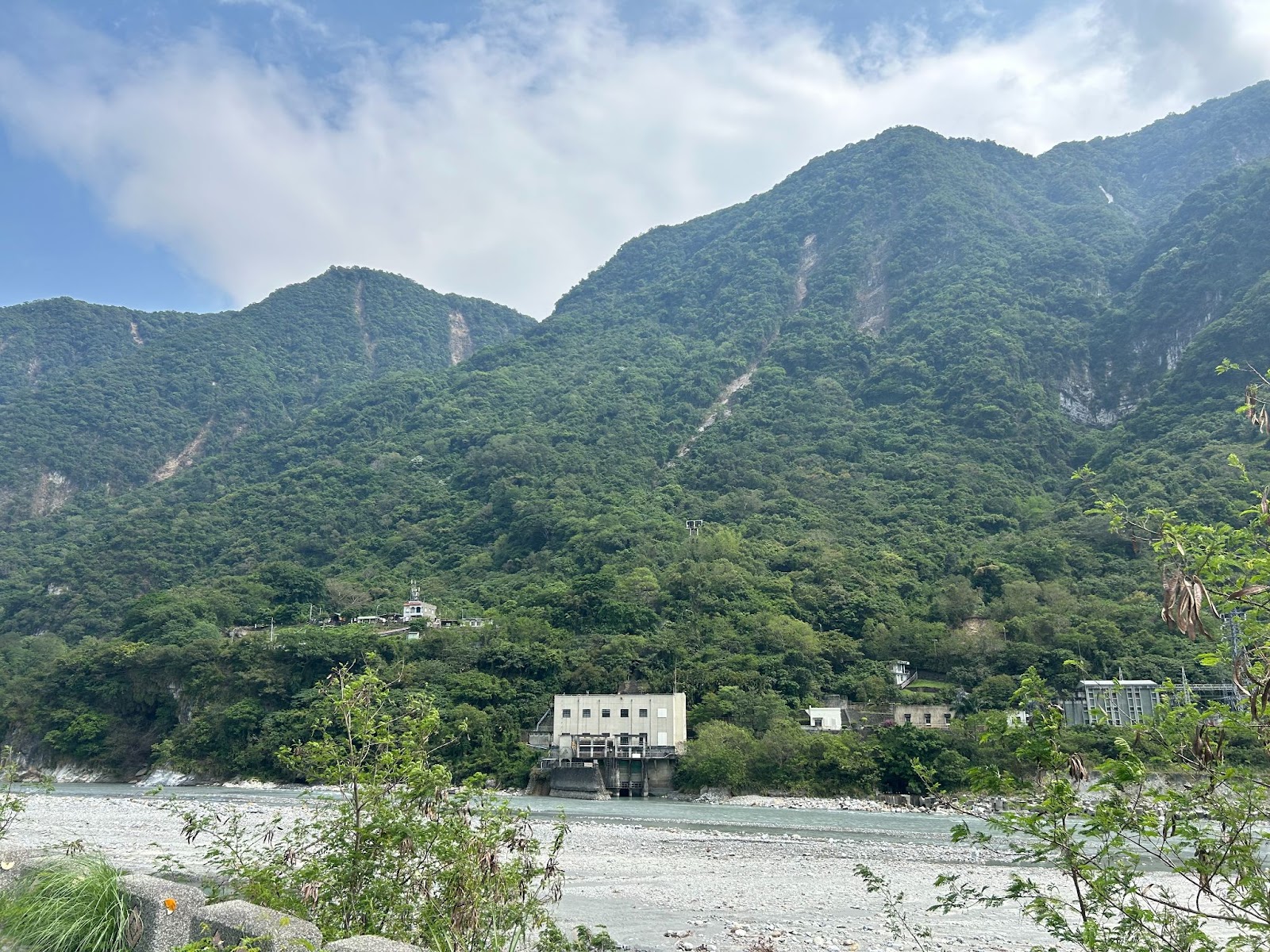 花東