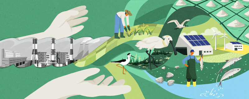 Illustrative image: A pair of hands is attempting to untie a knot. The part of the knot yet to be untied consists of factory chimneys, while the part already undone features farmland and solar panels. Farmers are tending their fields and fishermen are casting their nets, with rare birds hunting nearby.